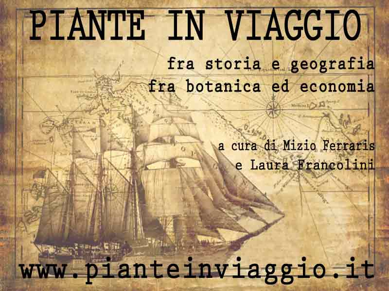 mappa-piv-02